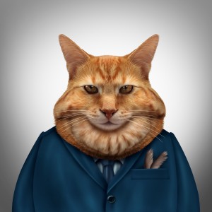 Business Fat Cat