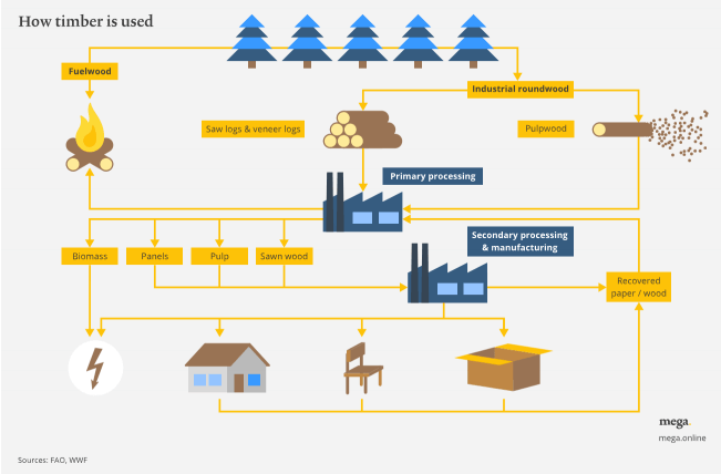 timber lifecycle, sustainable forestry, forests, woodland, timber supply chain