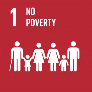 UN SDG 1 NO POVERTY