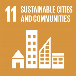 SDG 11 sustainable cities and communities